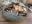 IMG_6886.jpeg