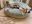 IMG_6891.jpeg