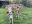 IMG_7274.jpeg