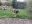IMG_7277.jpeg