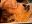 IMG_7287.jpeg