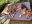 IMG_7307.jpeg