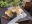 IMG_7312.jpeg