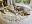 IMG_7467.jpeg