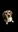 IMG_0775.PNG