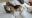 IMG-20170611-WA0008.jpeg