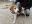 IMG-20191110-WA0002.jpg