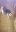 IMG-20191110-WA0007.jpeg