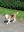 IMG_20190519_160204.jpg