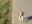 A5EF6703-9EC2-46CD-9165-E2FE894C430E.jpeg