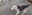 20230628_172130.jpg
