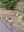IMG-20230331-WA0018.jpg