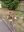 IMG-20230331-WA0023.jpg