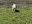 IMG-20230430-WA0031.jpg