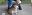 inbound169655075778274953.jpg