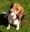 30-20110930.jpg