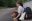 6-20120623.jpg