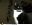 8105449_7aa918.jpg