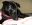 8105449_8ca2f4.jpg