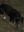 9700428tol.jpg
