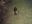 9700434azj-20120301.jpg