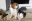 Ausflge_Hundegruppe_083.jpg