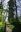 DSC00300a.jpg