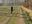 DSCN1033.jpg
