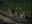 DSCN1043.jpg