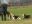 DSCN1053.jpg