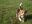 DSCN1075.jpg