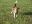 DSCN1077.jpg