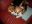 DSCN1078.jpg
