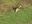 DSCN1109.jpg