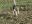 DSCN1124.jpg