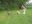 DSCN1690.jpg