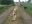 DSCN1785.jpg
