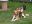 DSCN1907.jpg