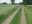 DSCN1939.jpg