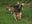DSCN1955.jpg