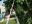 DSCN2248.jpg