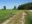 DSCN2393.jpg
