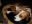 DSCN2575.jpg