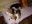 DSCN2588.jpg