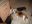 DSCN2598.jpg