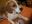 DSCN2615.jpg