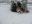 DSCN2623.jpg