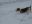 DSCN2639.jpg