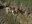 DSCN2679.jpg