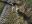 DSCN2680.jpg